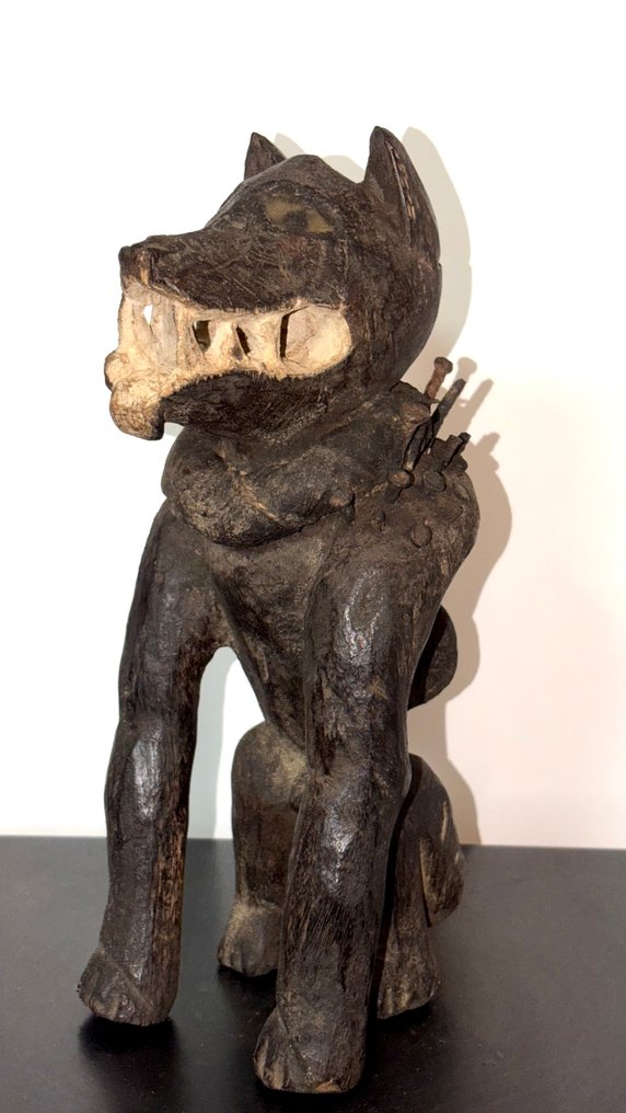 Chien Kongo Nkisi Nkonde - Λαϊκή Δημοκρατία του Κονγκό (χωρίς τιμή ασφαλείας) #1.0