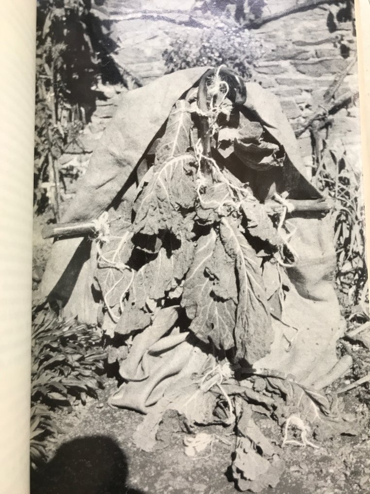 Antonin Artaud - Nouveaux écrits de Rodez. Lettres au docteur Ferdière et autres textes inédits [1/58 sur vélin] - 1977 #1.0