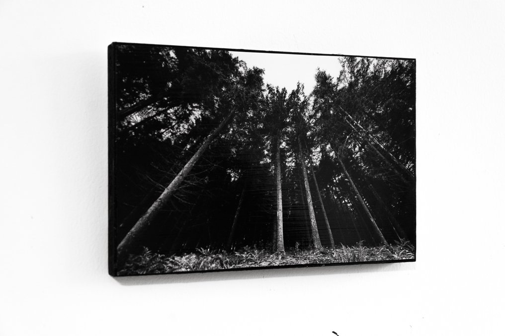 Rouzbeh Tahmassian - Guardians of the Grove - No reserve price #2.1