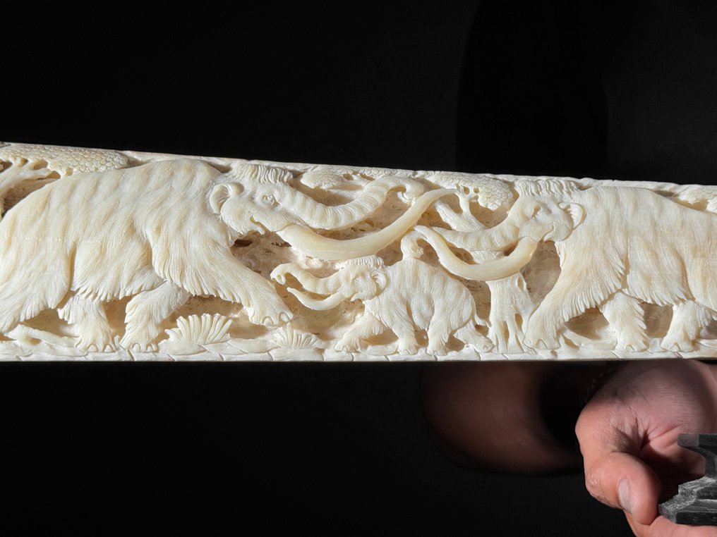 无底价 - 大型雕刻剑鱼牙，带底座 - 史前野生动物图案 支架上的吻突 - Xiphias Gladius - 15 cm - 82 cm - 6 cm- 非《濒危物种公约》物种 -  (1) #4.3