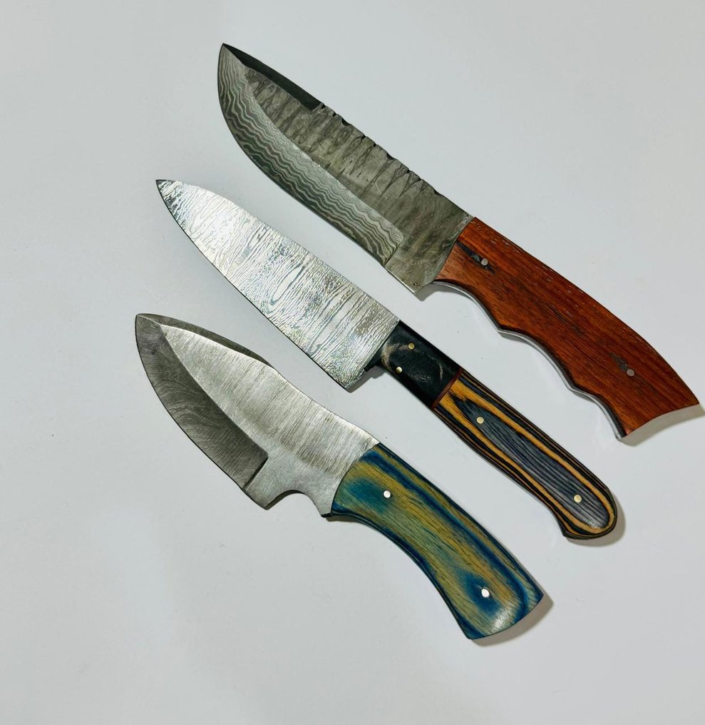 廚刀 - 厨房餐桌刀 -  厨房桌子刀 (0094) - 美国异国木柄和折叠钢 - 美國 - 厨房餐桌刀 #3.2