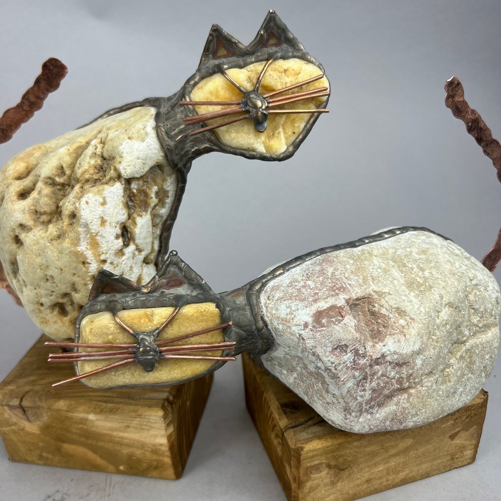 Jacek Drzymała ( XX- XXI) - 2 Stone BIG CATS #3.2