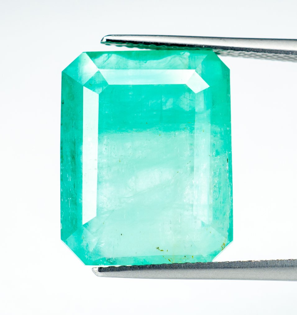 没有保留价 祖母绿  - 14.29 ct - Bellerophon 宝石实验室 - 蓝绿色（轻油） #1.0