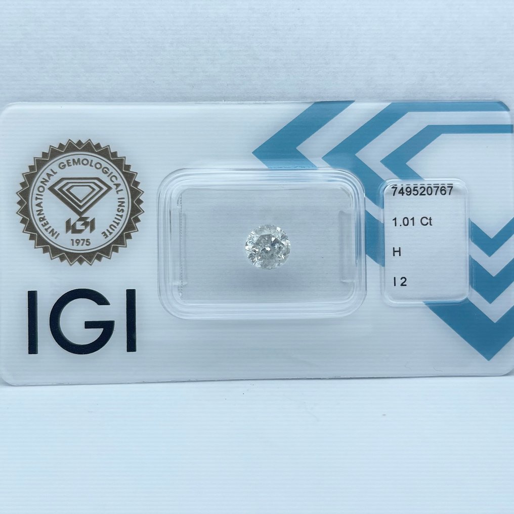 没有保留价 - 1 pcs 钻石  (天然)  - 1.01 ct - 圆形 - H - I2 内含二级 - 国际宝石研究院（IGI） #1.0