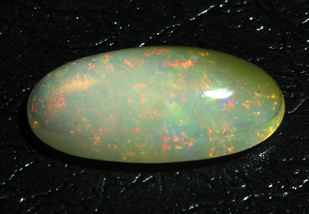 没有保留价 黄色, 白色 蛋白石  - 16.02 ct - 西班牙宝石学院（IGE） - 浓烈的色彩游戏 #1.0