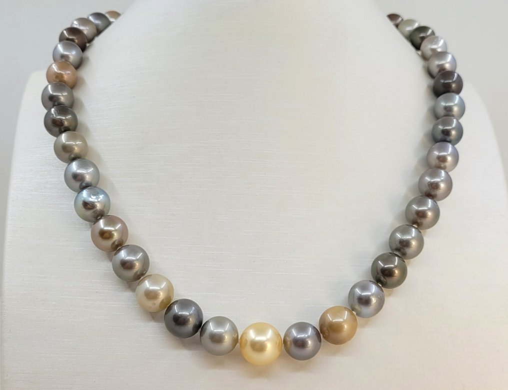 Colar Prata, Perolas Multi Tahiti Certificadas ALGT - 7,8x10,8mm #1.0