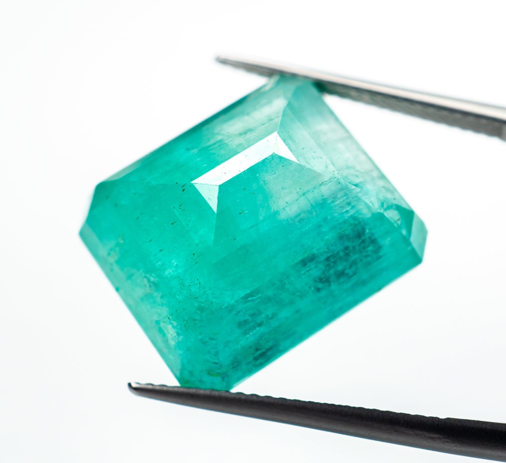 没有保留价 祖母绿  - 27.18 ct - Bellerophon 宝石实验室 - 绿色（小油） #4.3