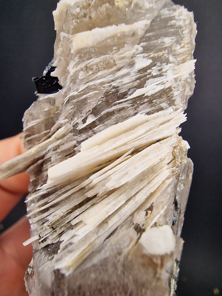 Epidydymite Rare Egirine, pyrochlor - Height: 130 mm - Width: 40 mm- 220 g - (1) #1.0