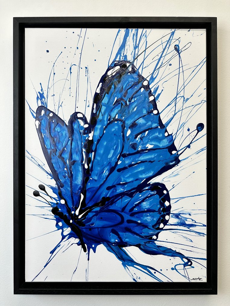 Santicri - Creation from Chaos, Butterfly 6 #1.0