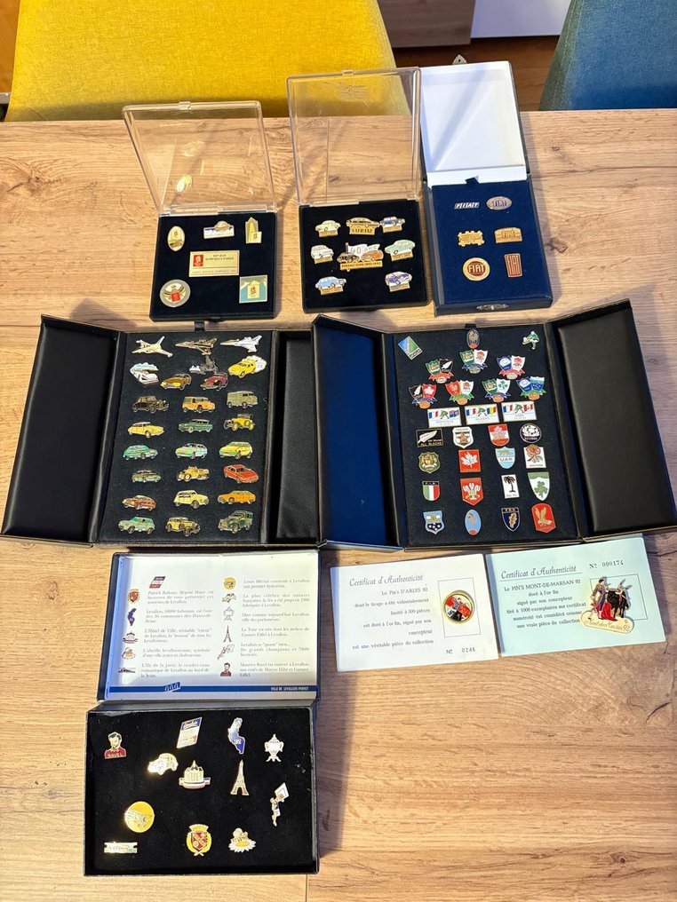 Collezione a tema - Lotto di collezioni di pins rari e nuovi (circa 110 pezzi) #1.0