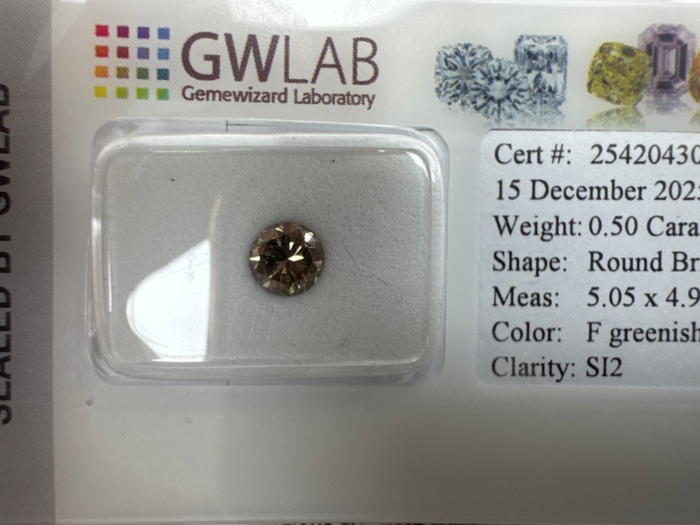 没有保留价 - 1 pcs 钻石  (天然色彩的)  - 0.50 ct - 圆形 - Fancy 稍帶綠色的, 棕色 - SI2 微内含二级 - Gemewizard宝石实验室（GWLab） #2.1