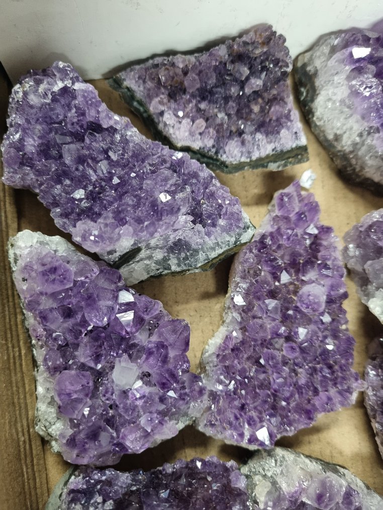 Big Lot HQ 乌拉圭紫水晶簇 9 - 5.7 厘米 水晶群- 1.48 kg #1.0