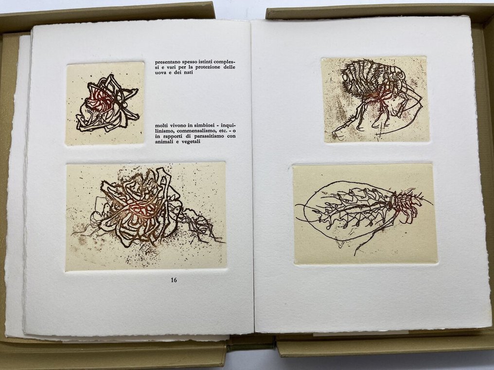 Giovanni Arpino / Sergio Saroni - Insettario - 1967 #4.3