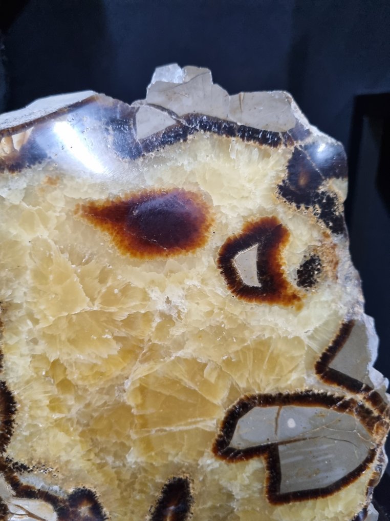 XXL Septaria, Septarienskulptur - Höhe: 190 mm - Breite: 180 mm- 3426 g #2.1