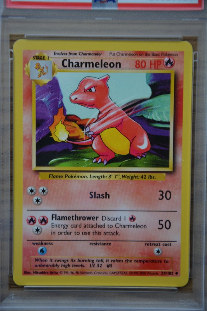 Pokémon - 1 Graded card - Charmeleon 24 - PSA 10 - WOTC - Base set #1.0