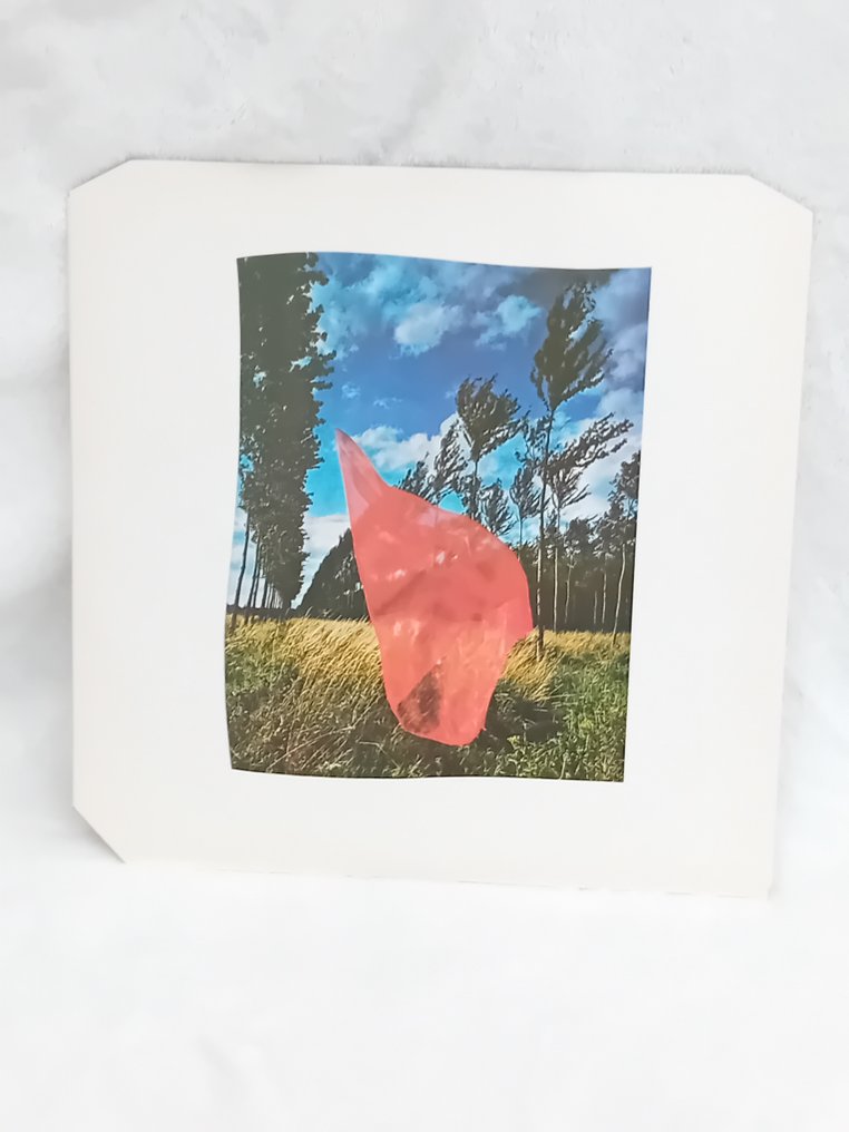 平克·佛洛伊德 - Wish You Were Here - 單張黑膠唱片 - 立體聲 - 1975 #3.2