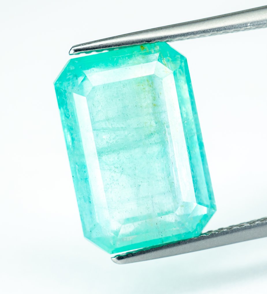 没有保留价 祖母绿  - 8.10 ct - Bellerophon 宝石实验室 - 蓝绿色（轻油） #2.1