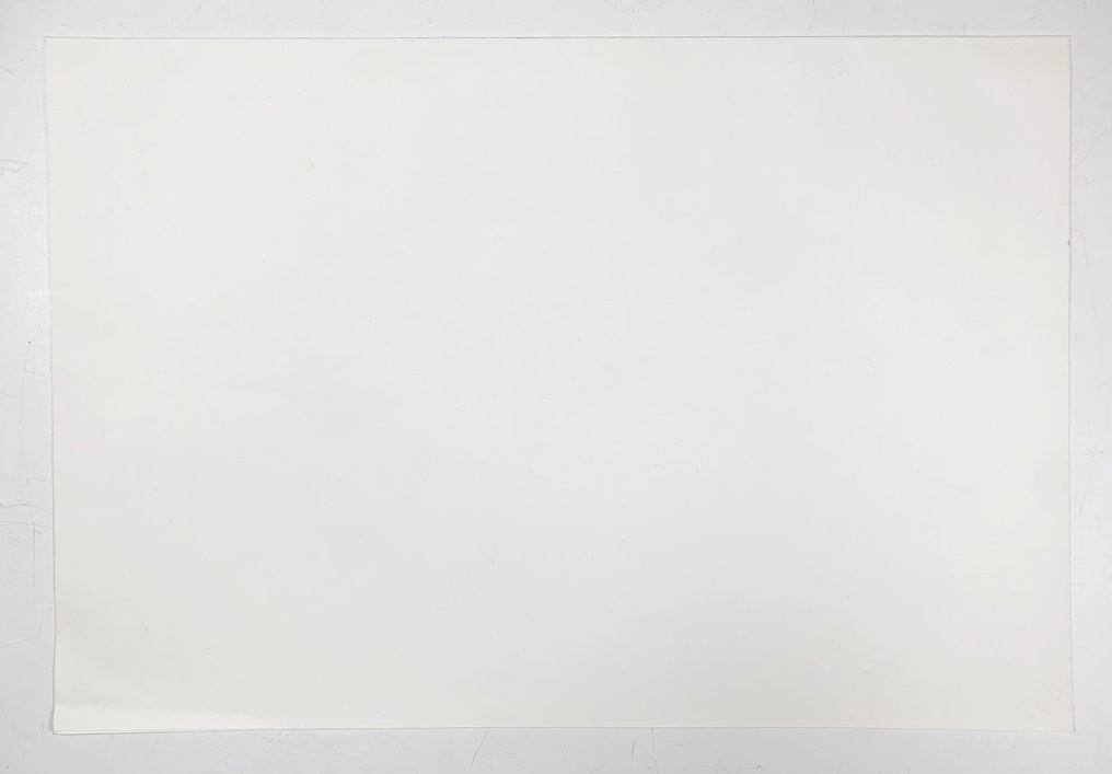 Sudo no Tori (巣の鳥) - Seisei Fuji (富士正晴，1913-1987) - 日本  (没有保留价) #1.0