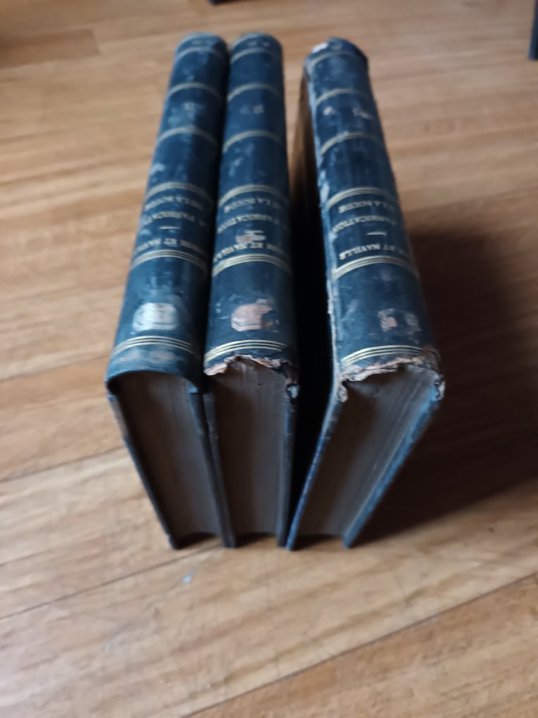 G. Lunge & J. Naville - Traité de la fabrication de la soude et de ses branches collatérales‎ - 1879-1881 #3.2