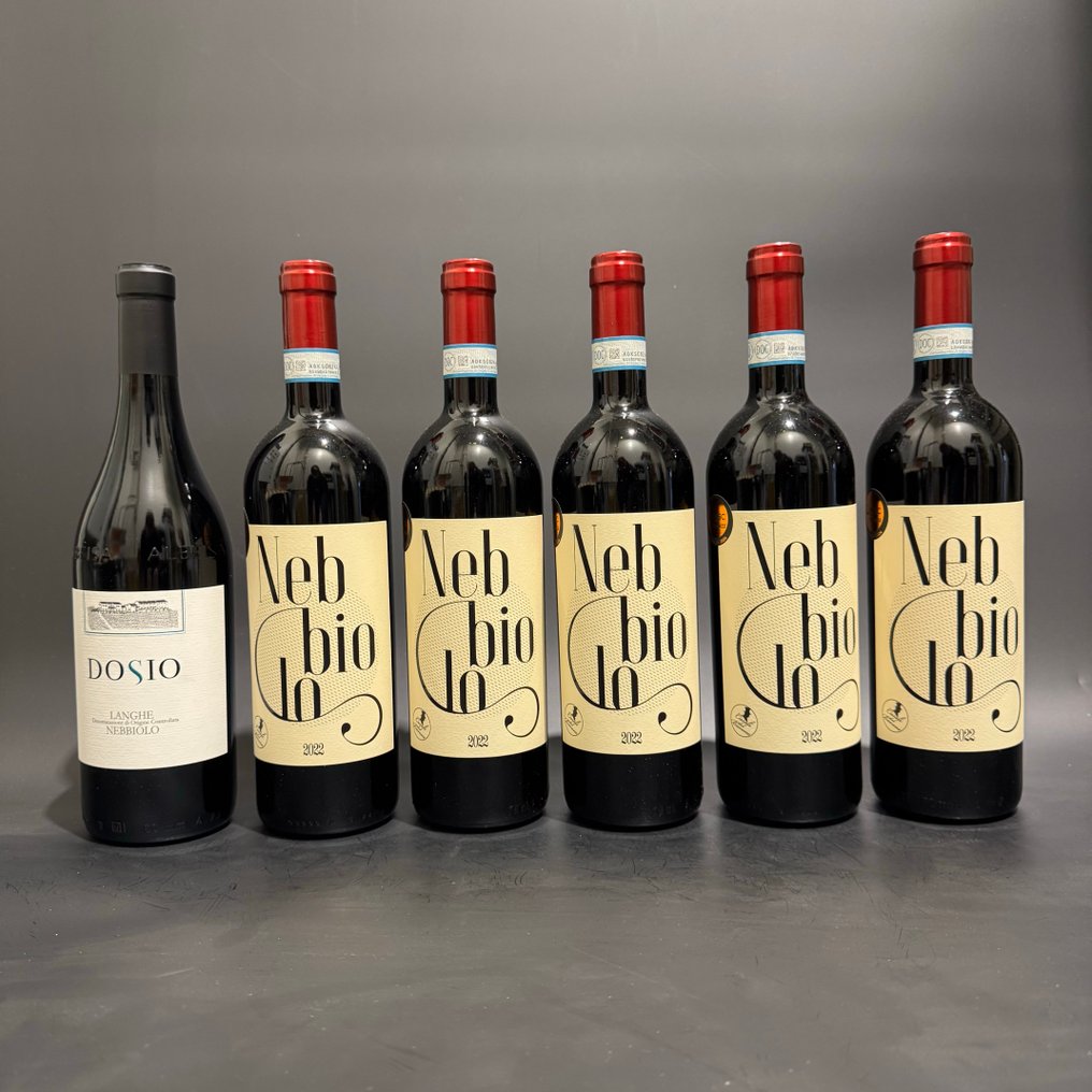 2022 x5 Casali del Barone Langhe Nebbiolo & 2023 Diosio Nebbiolo - Piemonte DOC - 5 Flaskor (0,75L) #1.0