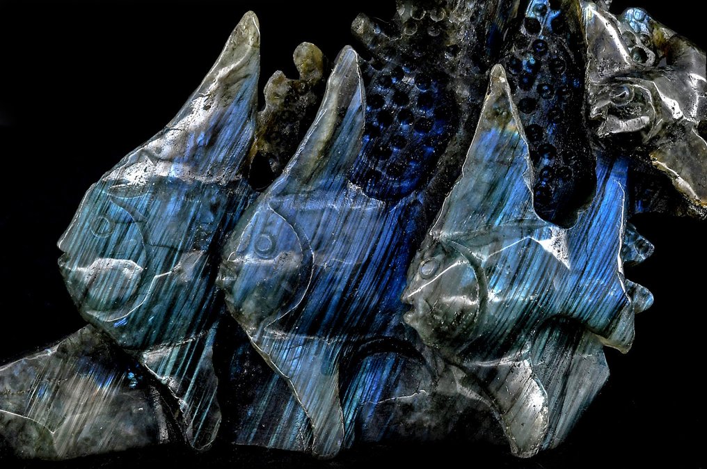 Υπέροχη λαβραδορίτη βυθός της θάλασσας με ψάρια και κοράλλια - Ύψος: 16.8 cm - Πλάτος: 10.3 cm- 470 g #2.1