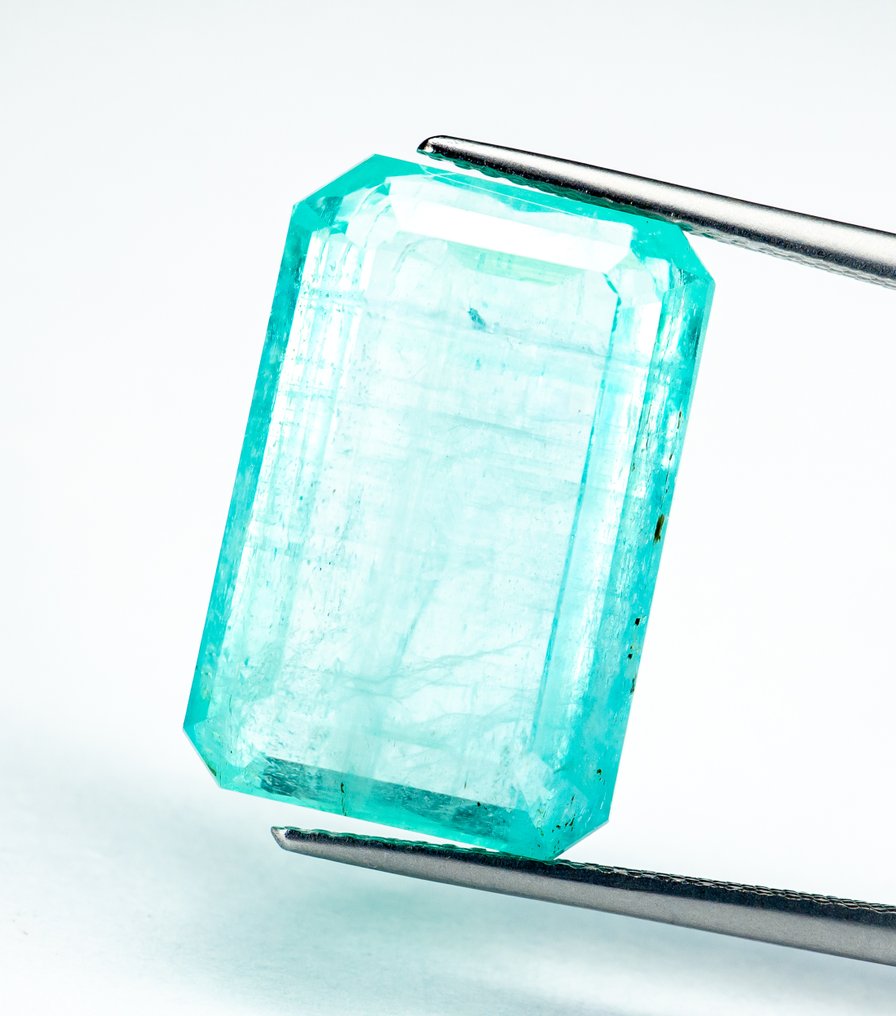 χωρίς τιμή ασφαλείας Σμαράγδι  - 19.11 ct - Bellerophon Gemlab - Μπλε-πράσινο (Λιγότερο λάδι) #2.1