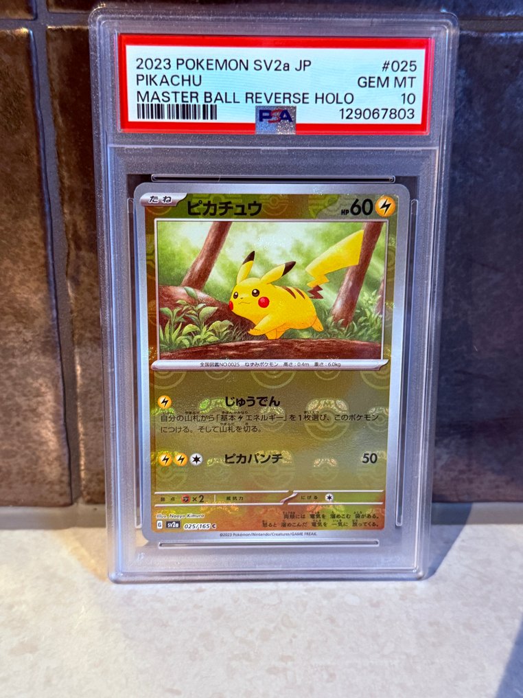 Pokémon - 1 Graded card - Pikachu #025 壓膜, 逆閃卡 - PSA 10 - Scarlet & Violet - SV2a #1.0