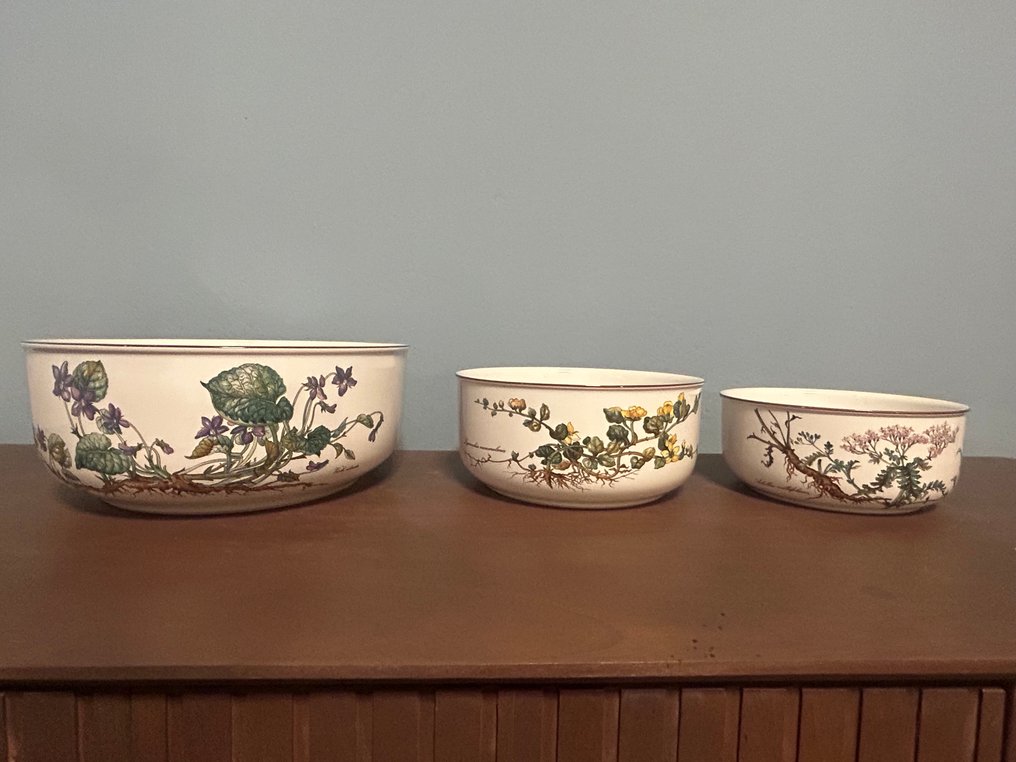 德国唯宝 - Botanica - 碗 (3) - Vitro - 上菜碗 #1.0