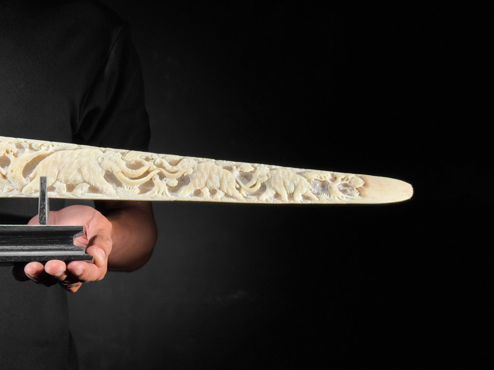 无底价 - 大型雕刻剑鱼牙，带底座 - 史前野生动物图案 支架上的吻突 - Xiphias Gladius - 15 cm - 82 cm - 6 cm- 非《濒危物种公约》物种 -  (1) #3.2