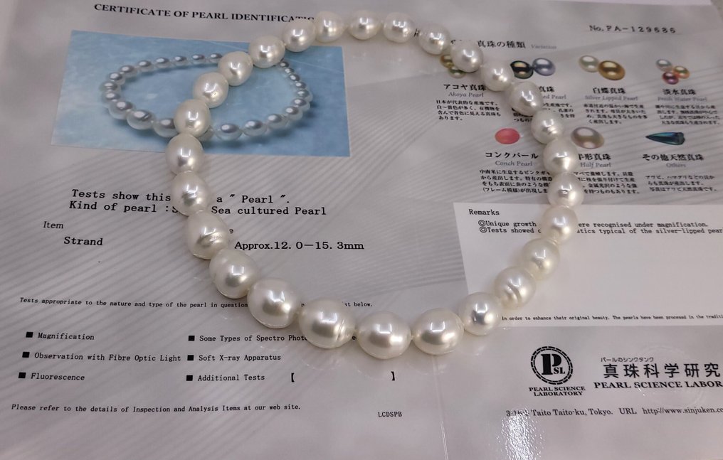 项链 - 14K包金 白金, PSL认证澳大利亚南海珍珠 - 巨大尺寸 - 12.0x15.3毫米 #4.3