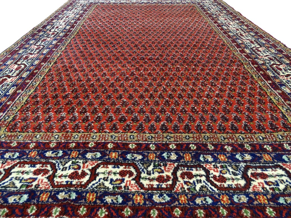 Mir - Limpo - Tapete - 287 cm - 193 cm #1.0