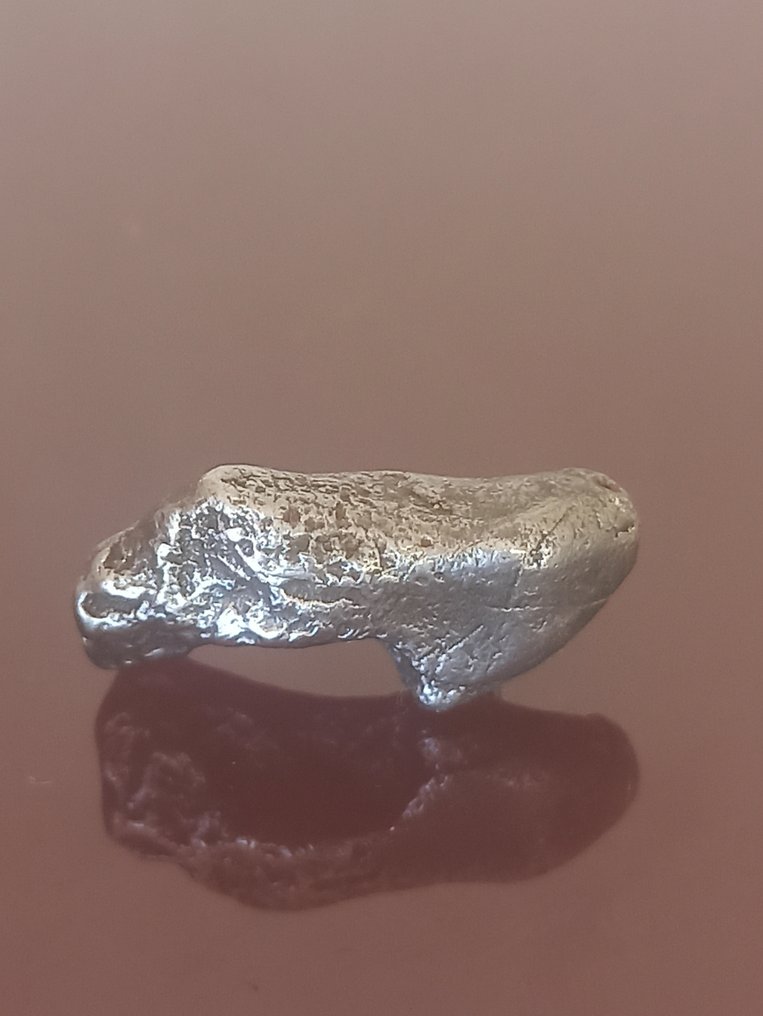 Υπέροχο Sikhote Alin. Ολοκληρωμένο δείγμα. Χωρίς τιμή εκχώρησης!!! - 11.62 g #1.0