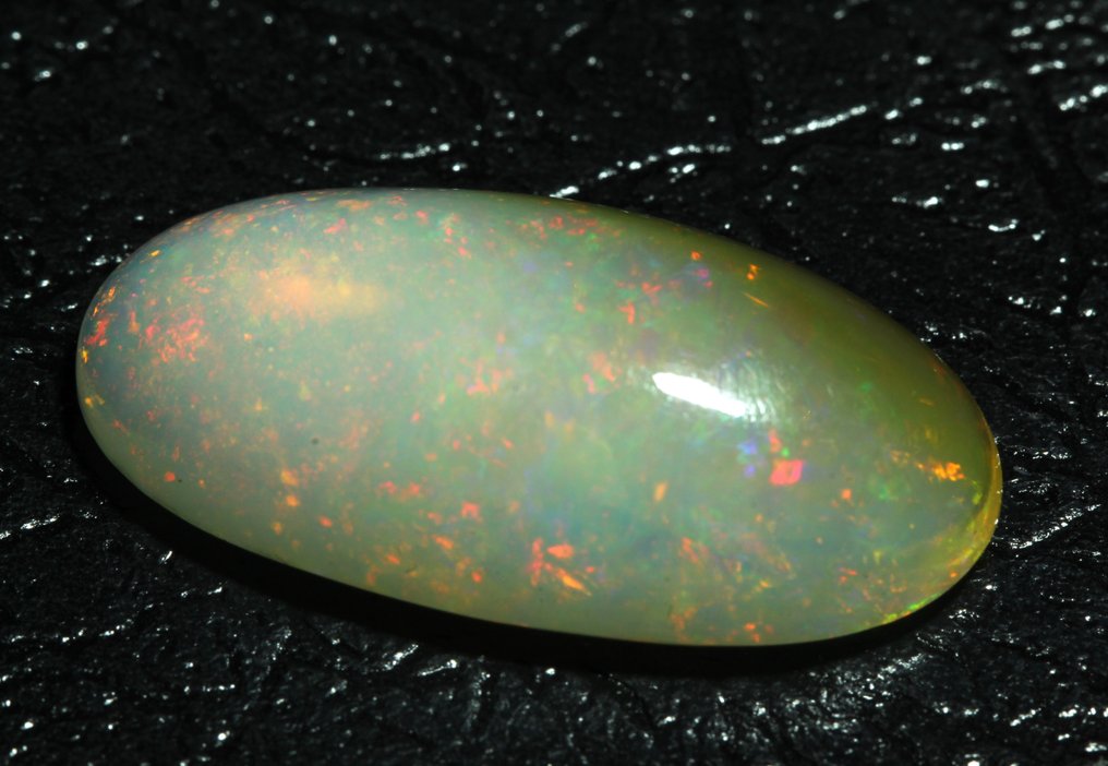 没有保留价 黄色, 白色 蛋白石  - 16.02 ct - 西班牙宝石学院（IGE） - 浓烈的色彩游戏 #4.3