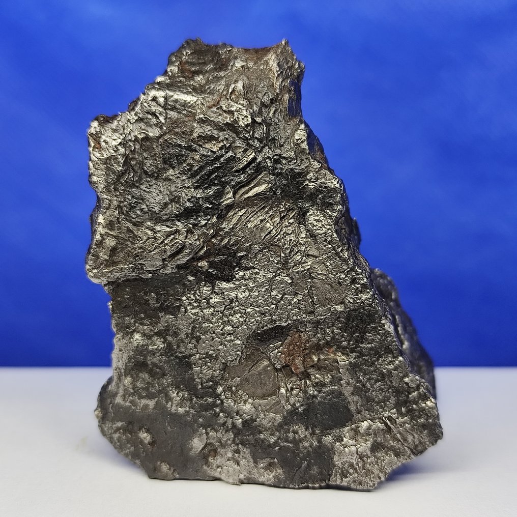 XL 铁陨石，阿勒泰（中国，1898年） 完整作品。最佳品质。 - 333 g #3.2