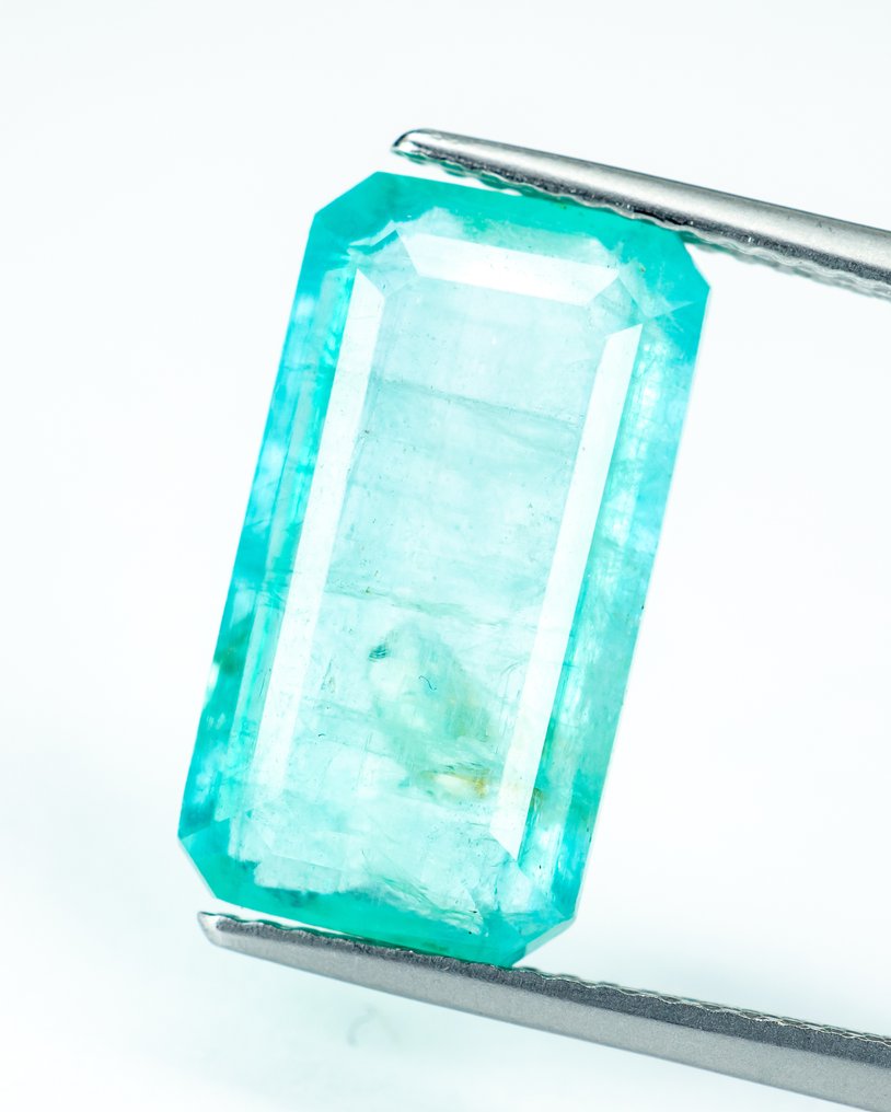 沒有保留價 祖母綠  - 7.32 ct - Bellerophon Gemlab - 蓝绿色（轻微油） #2.1