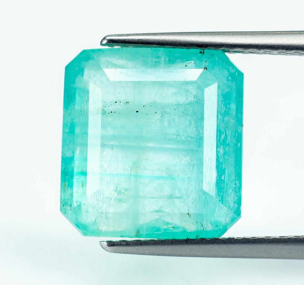 沒有保留價 祖母綠  - 7.52 ct - Bellerophon Gemlab - 蓝绿色（轻微油） #1.0