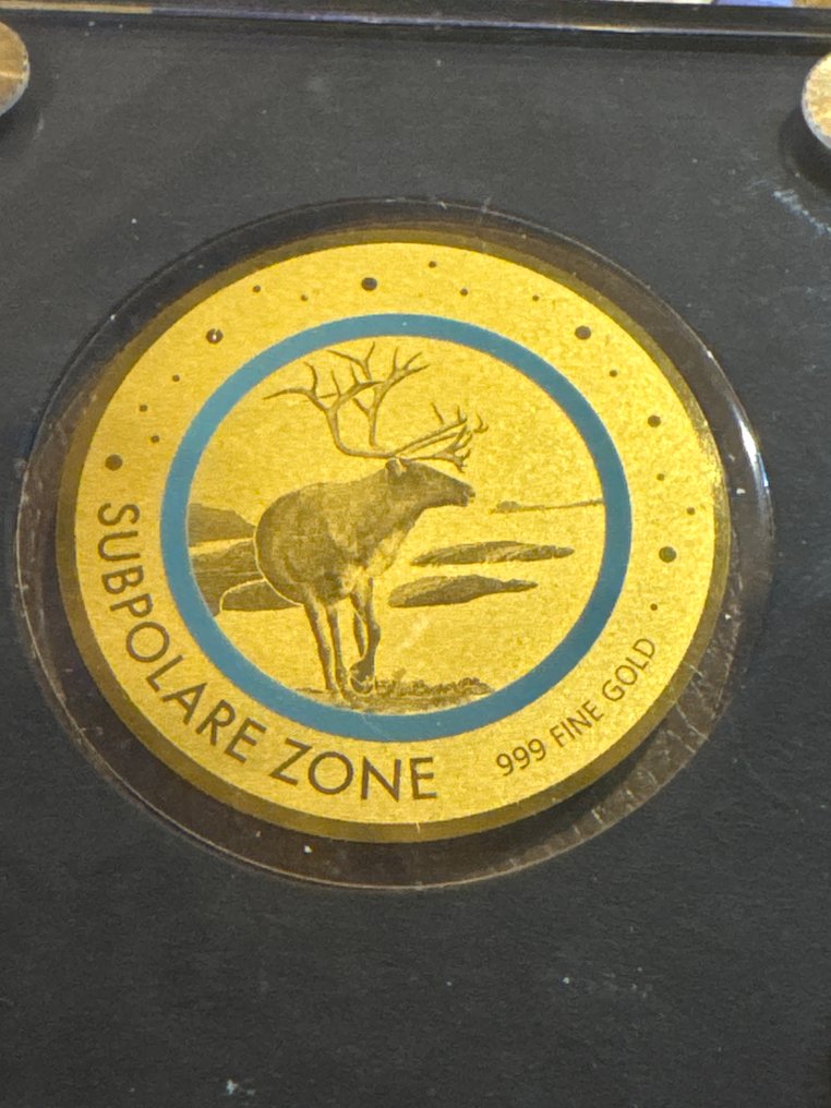 Tchad. 5000 Francs 2020 - Subpolare Zone , 1/200 Oz (.999) mit CoA  (Ingen mindstepris) #1.0