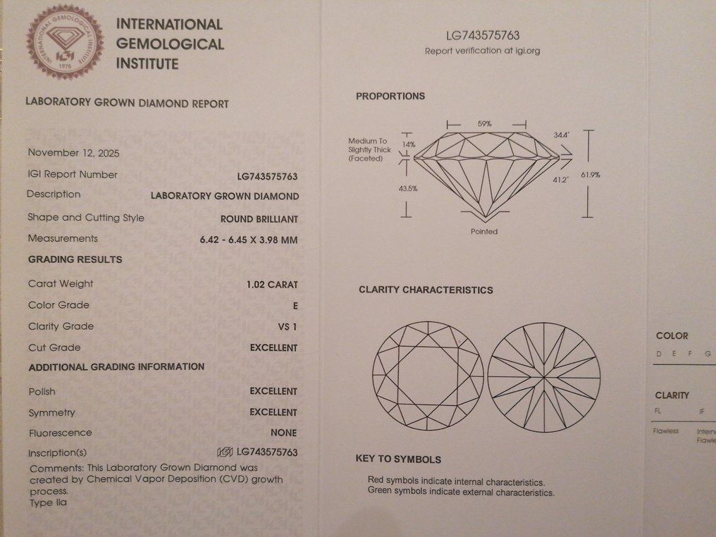 没有保留价 - 耳环 - 14K包金 白金 -  2.03ct. tw. 钻石 (实验室培育) #4.3