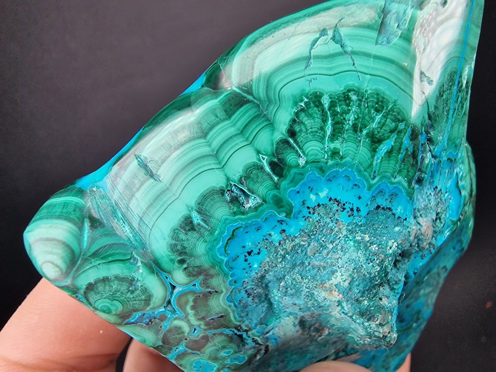Chrysocolla Malachite - 高度: 110 mm - 闊度: 80 mm- 558 g - (1) #1.0