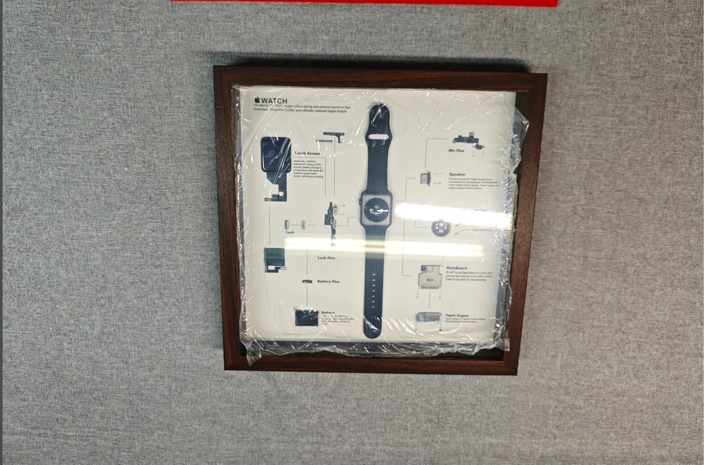 Apple Apple Watch 1ʳᵉ génération (2015) – Œuvre encadrée de collection - Computer (1) #1.0