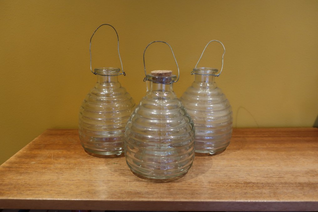 Flasche (3) - Glas - Wespenvangers #1.0