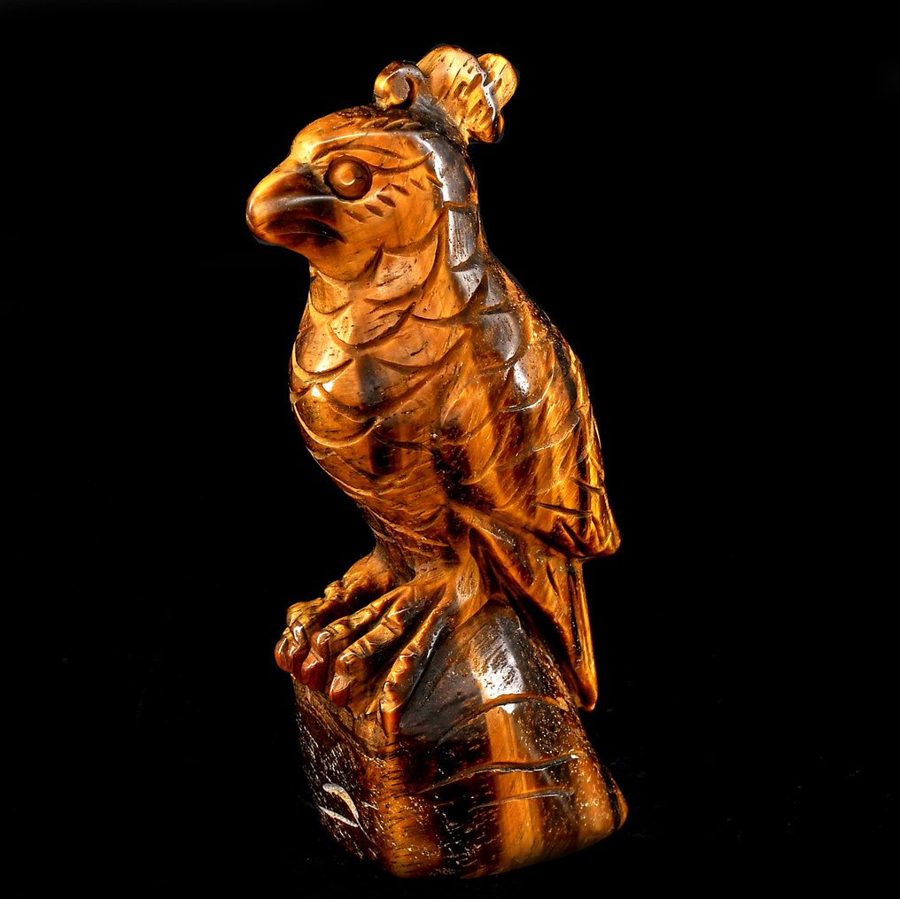 Πρώτης ποιότητας Tiger's Eyes παπαγάλος - Ύψος: 10.4 cm - Πλάτος: 4.7 cm- 174 g #1.0