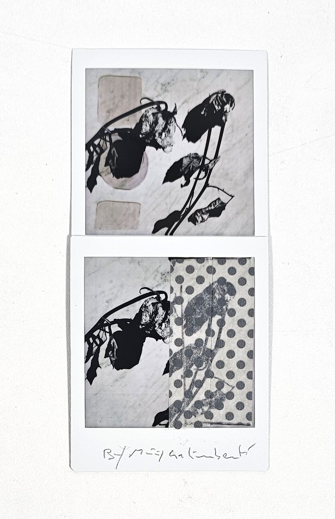 Maurizio Galimberti (1956–) - BiFlowers - 10908 #1.0