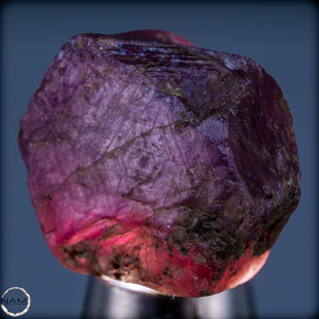 Φυσικός Trapiche Padparadscha σάπφειρος Σπάνιο αυθεντικό ακατέργαστο κρυσταλλικό διαμάντι με εξαιρετική δομή - 49,05ct- 9.81 g #3.2