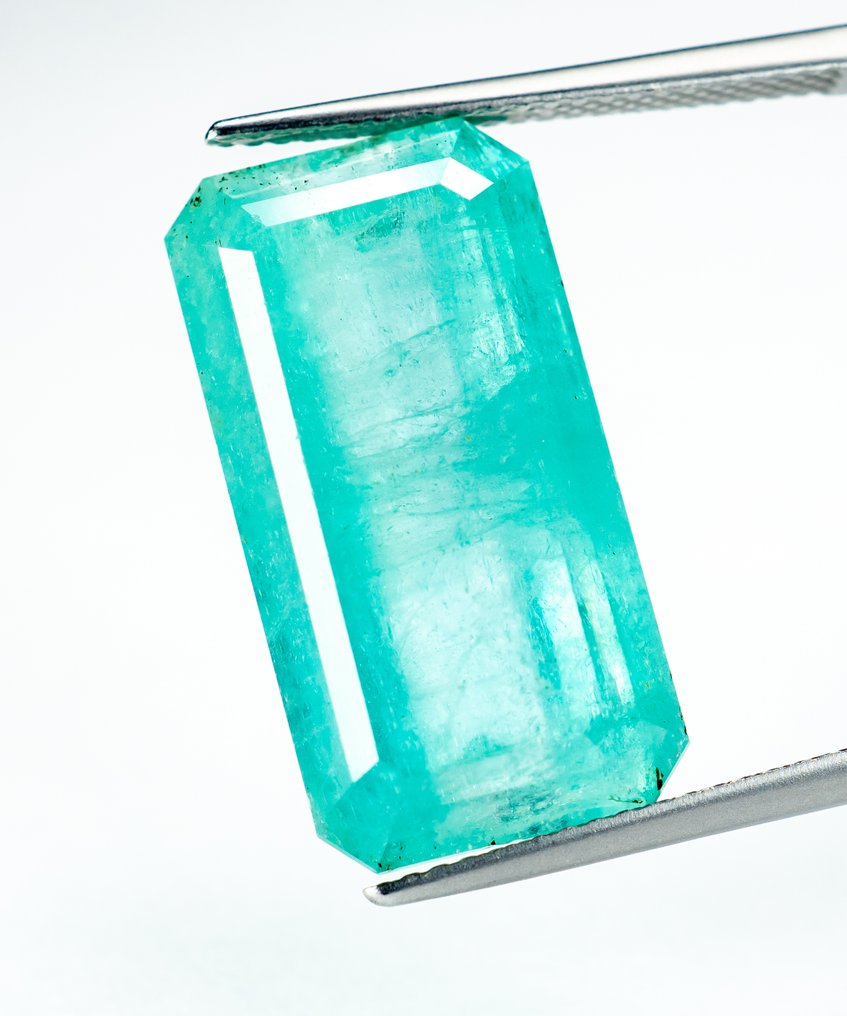 没有保留价 祖母绿  - 21.43 ct - Bellerophon 宝石实验室 - 蓝绿色（轻油） #1.0