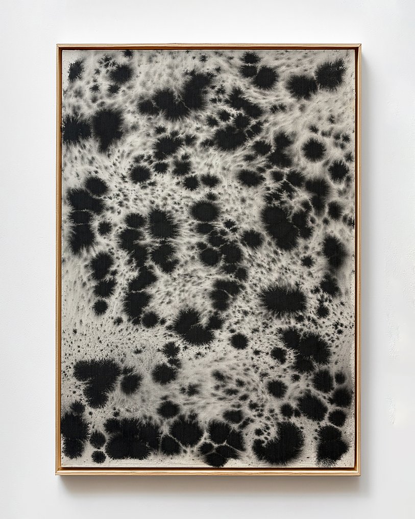 Ella Suárez - Pieles 37 - XL (NO RESERVE) #1.0