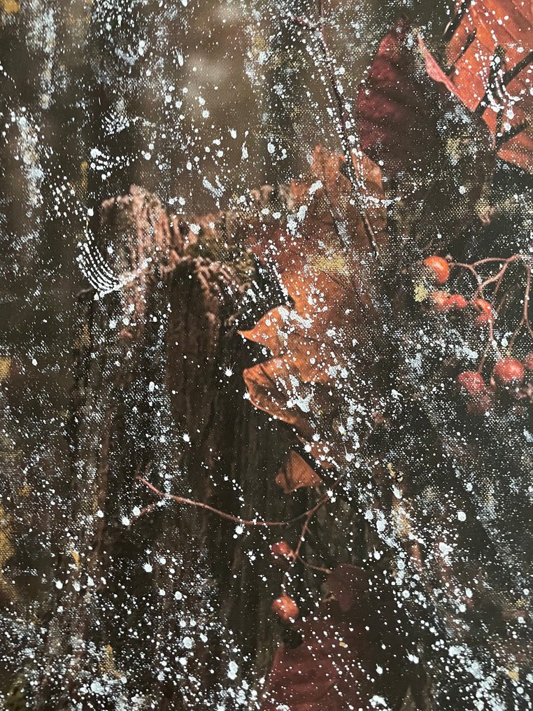 Nicole Lubbers - The Forest Wears Her XL #4.3