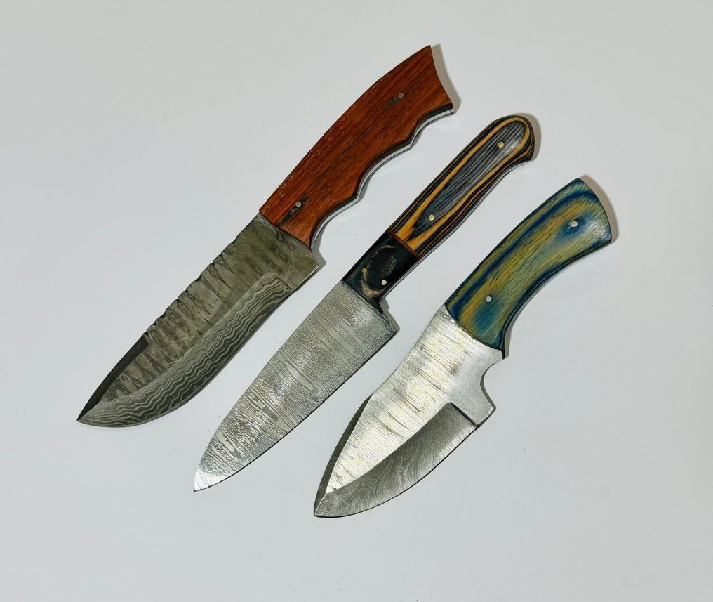 廚刀 - 厨房餐桌刀 -  厨房桌子刀 (0094) - 美国异国木柄和折叠钢 - 美國 - 厨房餐桌刀 #1.0