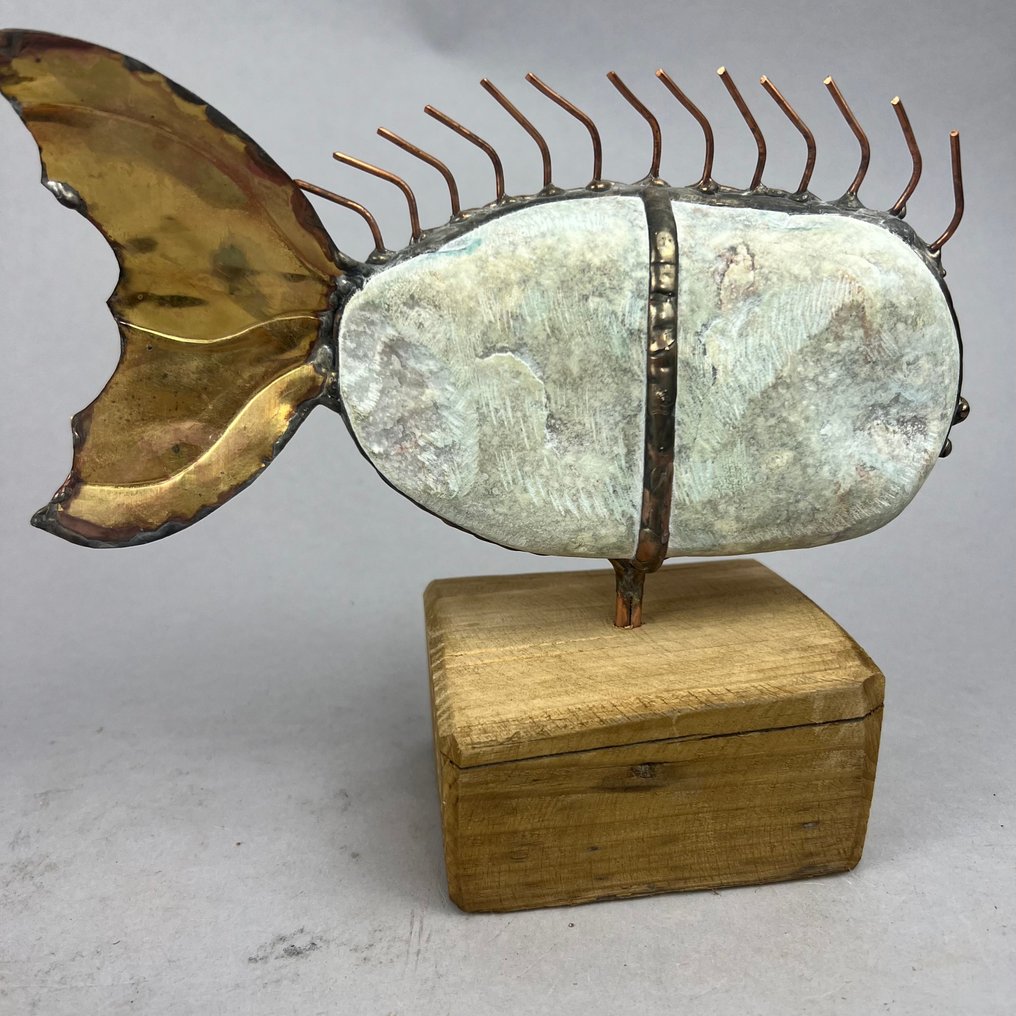 Dariusz Drzymała (XX-XXI) - NO RESERVE- BIG FISH #3.2