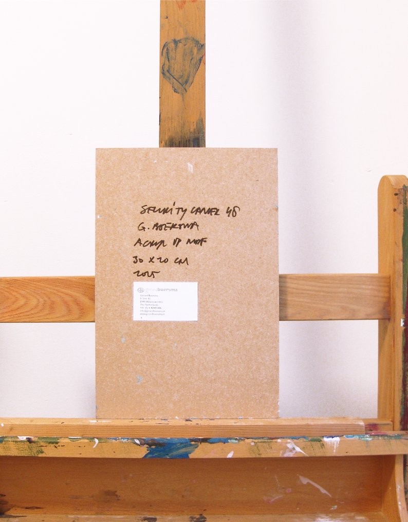 Gerard Boersma (1976) - Security Camera 48 (still life painting of a cctv surveillance camera)- No Reserve #4.3